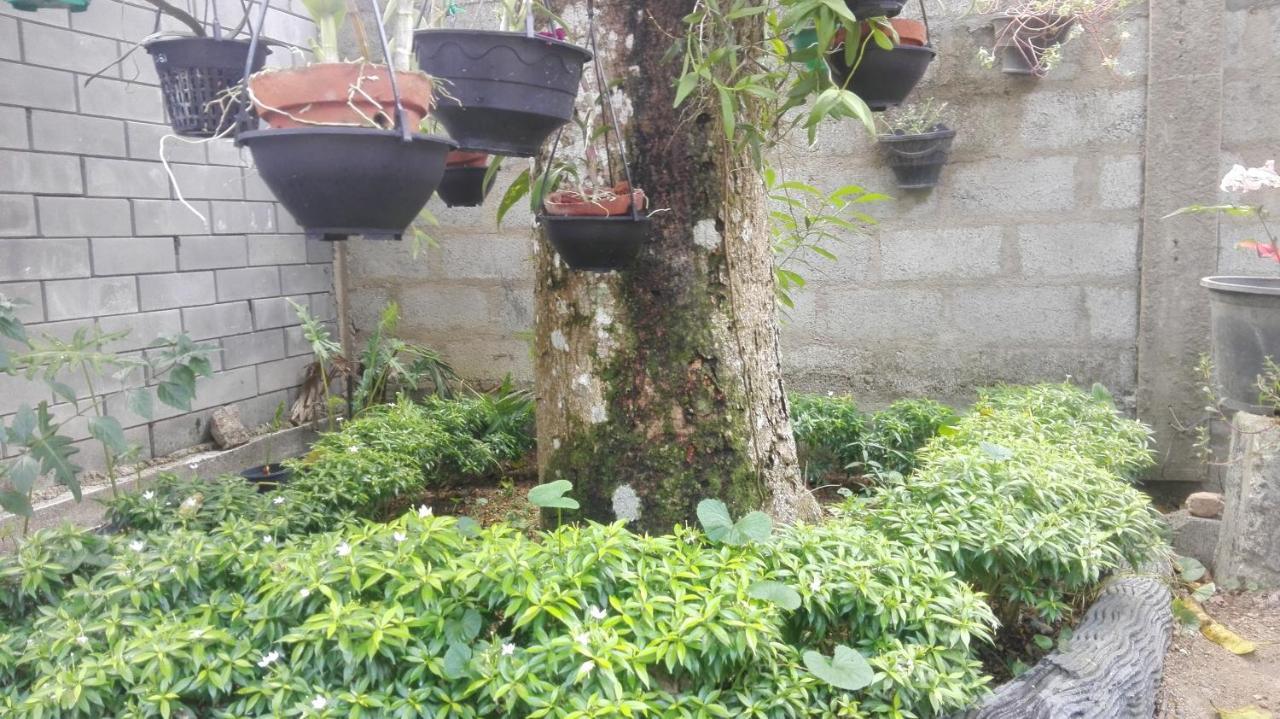 Mango Roots Apartment Gampaha Ngoại thất bức ảnh