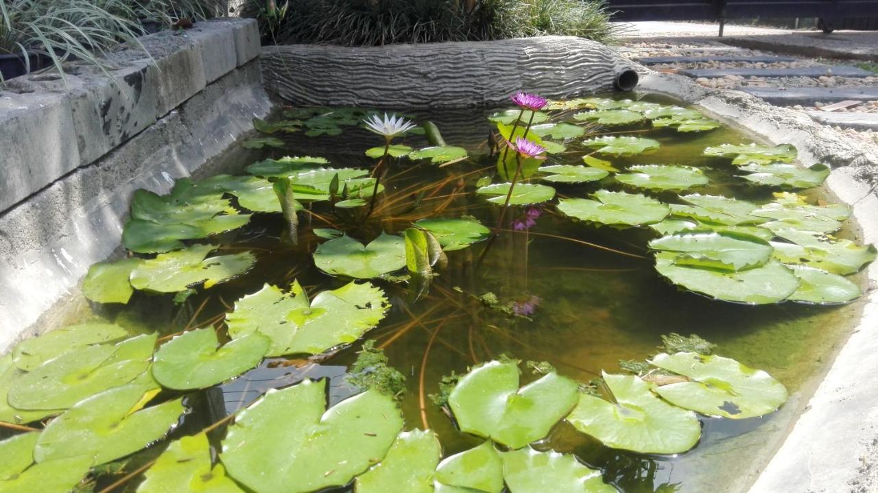 Mango Roots Apartment Gampaha Ngoại thất bức ảnh